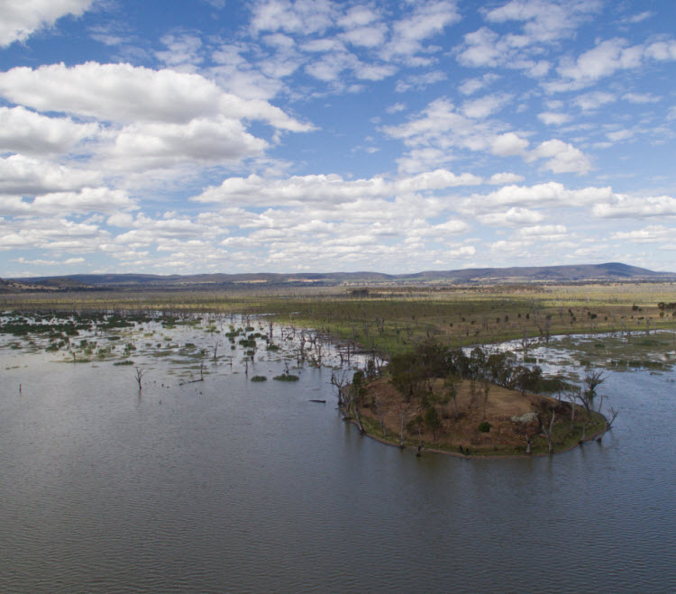 Arial view of a portion of the shore and small island of the Winton Wetlands